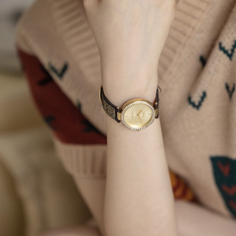 【节日礼物】coach蔻驰女park石英表 奥兹海外欧美腕表