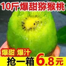 Zhengzong Shaanxi Eyebrow County Xu Xiangkiwi Fruit Peach Fruit Fresh Green Hearts Kiwi Fruit pregnant women 5 catties 10 When season