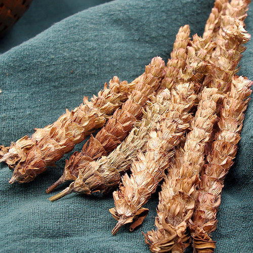 夏枯草50-500克当季新货中药材包邮夏枯球泡水非野生实体店铺大全 - 图0