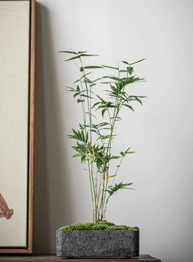 石头盆花盆家居新中式摆件微景观玄关桌面大理石整石雕刻花盆石盆