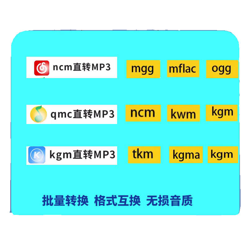 音频音乐视频格式转换ncm kgm flac mgg m4a  mp4转mp3音乐转换器 - 图2