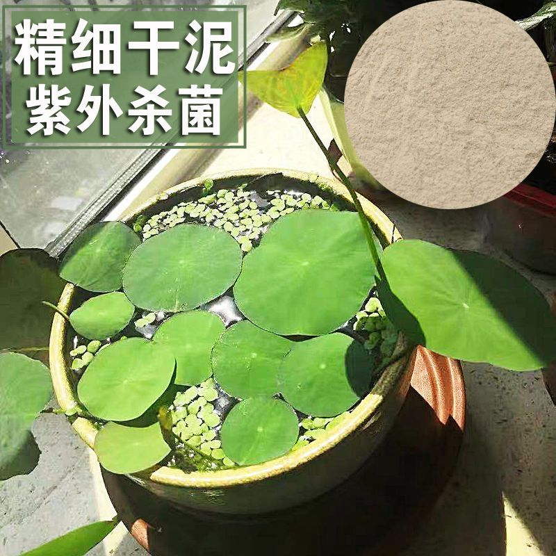 碗莲专用土纯天然荷塘泥盆栽绿植种植养花水生水培植物养龟淤泥土 - 图0