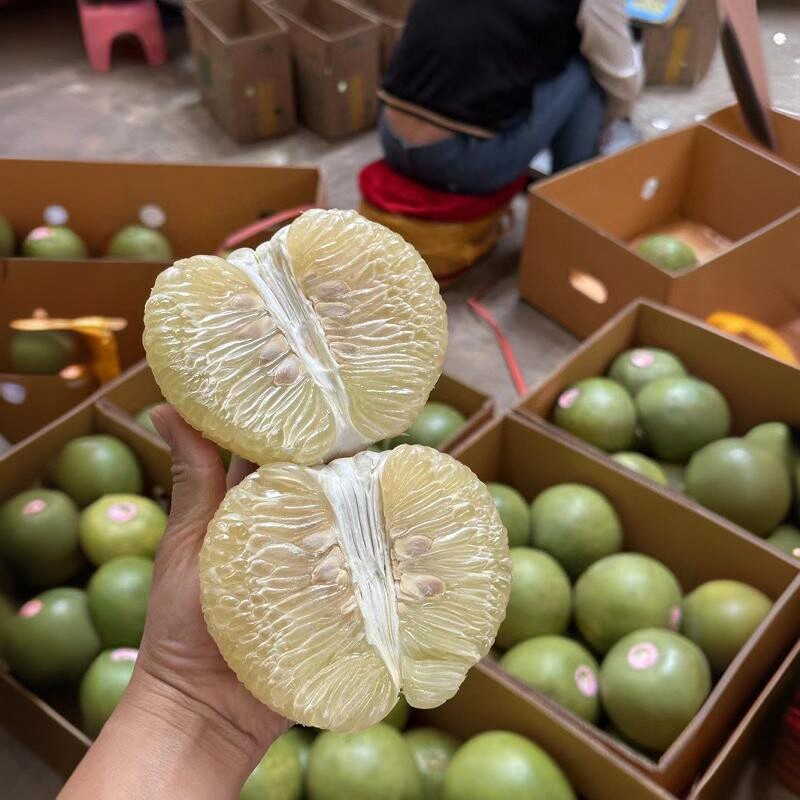 泰国青柚子新鲜10斤当季蜂蜜香甜白糖西柚整箱孕妇水果高端进口 - 图1