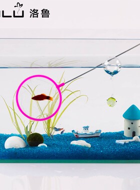 水族箱鱼缸鱼捞小渔兜网鱼捞用具捞鱼网捞鱼网兜长柄捞虾