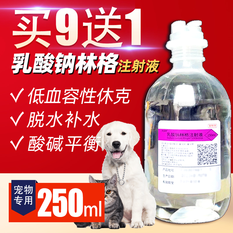 乳酸林格液狗狗酸中毒酸碱平衡林格氏液宠物专用乳酸钠林格注射液 - 图0