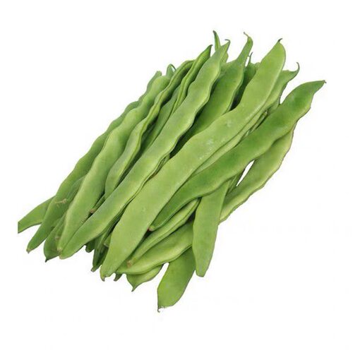 荷兰玉龙三扁二扁窄条宽芸豆四季豆种子早熟耐寒春秋种植架豆包邮 - 图3