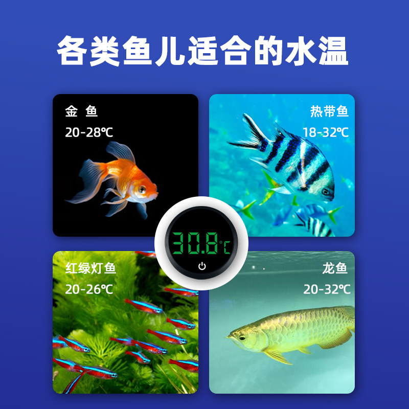 鱼缸温度计高精度迷你外贴测水温计专用LED数显贴片小测量计龟缸,淘宝优惠券,粉丝福利购,淘宝优惠卷
