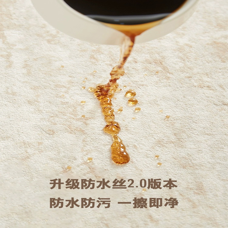 地毯客厅2025新款轻奢高级现代简约沙发茶几卧室床边毯免打理地垫 - 图1