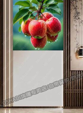 苹果贴纸图案山水风景画墙面门窗遮丑平平安安水果贴画新鲜墙上贴