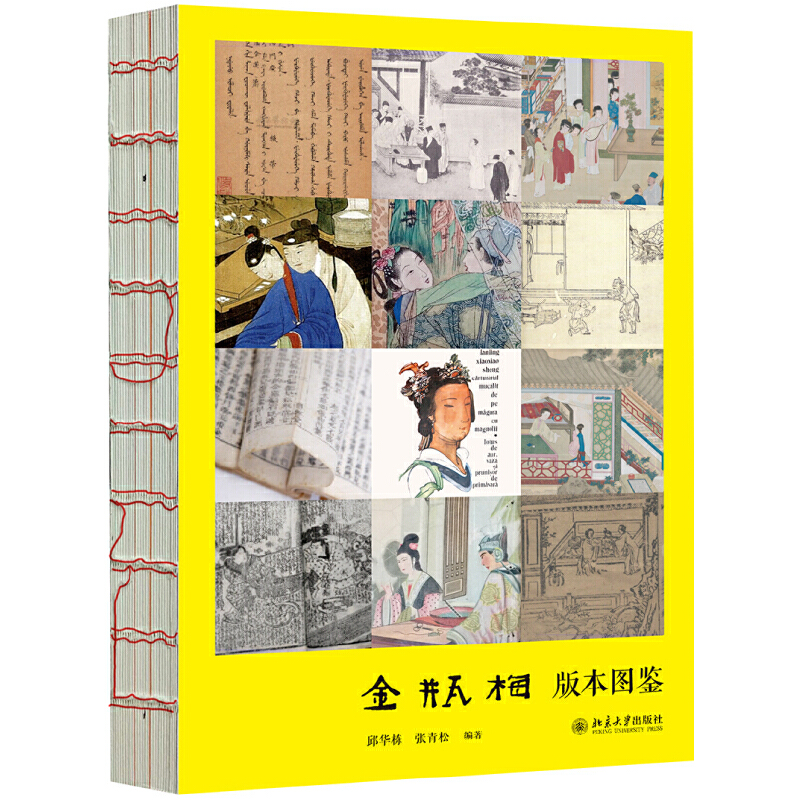 当当网正版金瓶梅版本图鉴 400种版本，4000幅图片，描绘《金瓶梅》400年版本演化史北京大学出版社-图0