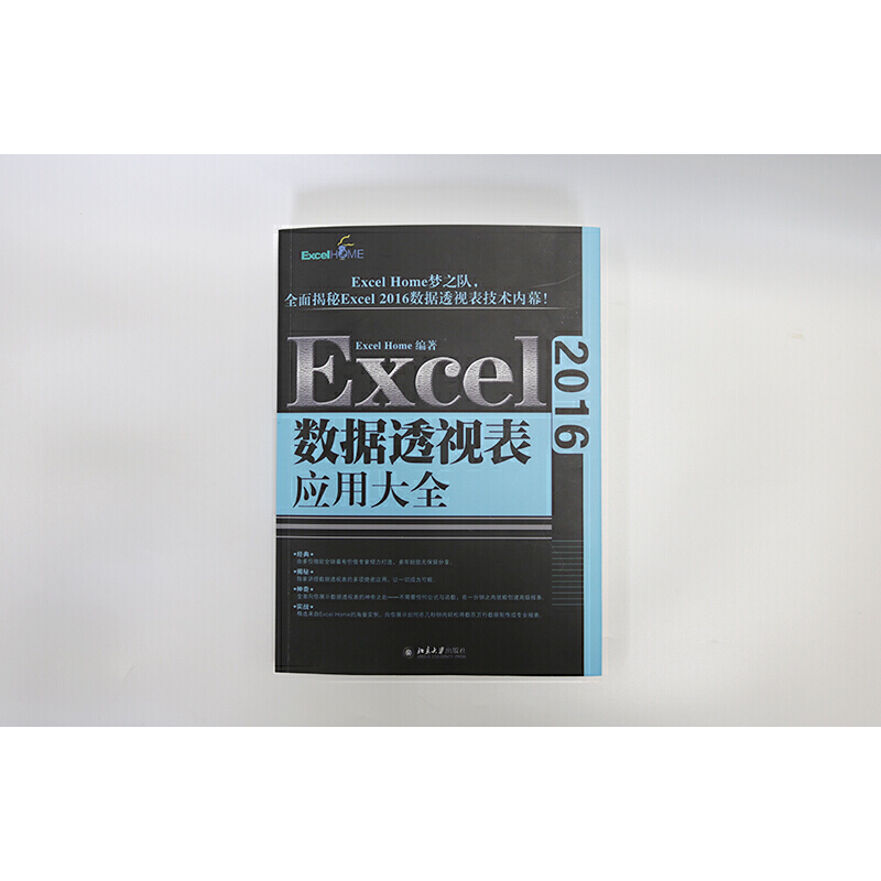 Excel 2016数据透视表应用大全 ExcelHome出品 数据分析与数据可视化经典之作 北京大学出版社 - 图0