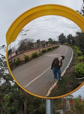 可爱卡通动物圆形装饰镜