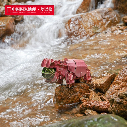 博物文创 为自然发声纸模第二弹 动物系列绿孔雀大象东北虎非洲狮