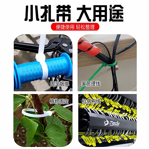 彩色扎带塑料收紧器勒死狗绑带国标尼龙扎带小捆绑数据线收纳黑色 - 图2
