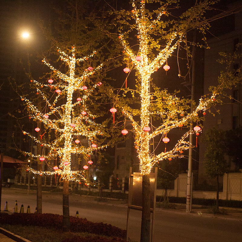 led彩灯闪灯串灯满天星户外灯串装饰氛围灯带树灯景观灯25年新款
