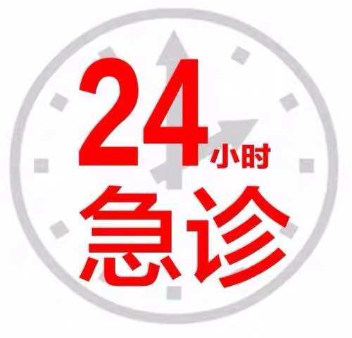宠物医生问诊猫咪生病咨询兽医24小时线上宠物医院狗狗看病问诊疗 - 图3