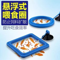 Fish tank feeders Feeding Rings Small Fish Peacock Fish Feeding Rings Floating Fish Food Feed Throw