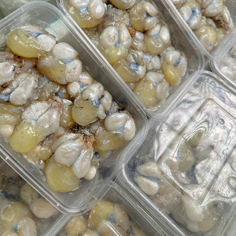 舟山海鲜特产冷冻墨鱼蛋淡口目鱼蛋带膏乌贼蛋一盒300克/去沙包,淘宝优惠券,粉丝福利购,淘宝优惠卷