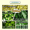 Meatyway Dog Treats Goat Milk Fruit and Vegetable Biscuits Pet Food Training Reward Dog Treats