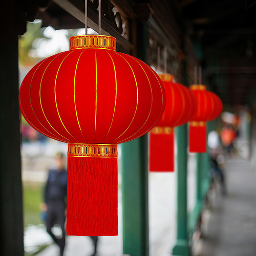 2026新款大红灯笼充电植绒大门口阳台户外一对自建房新年春节装饰 - 图0