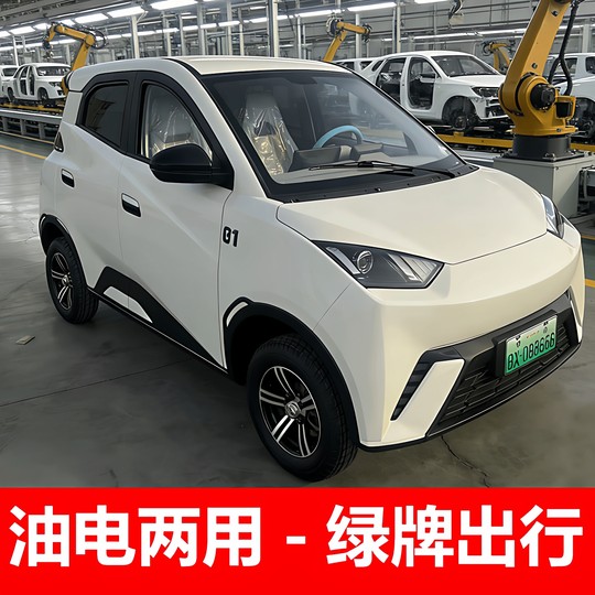 启巡电动四轮车成年人女士老年代步车小型全封闭电动车油电两用