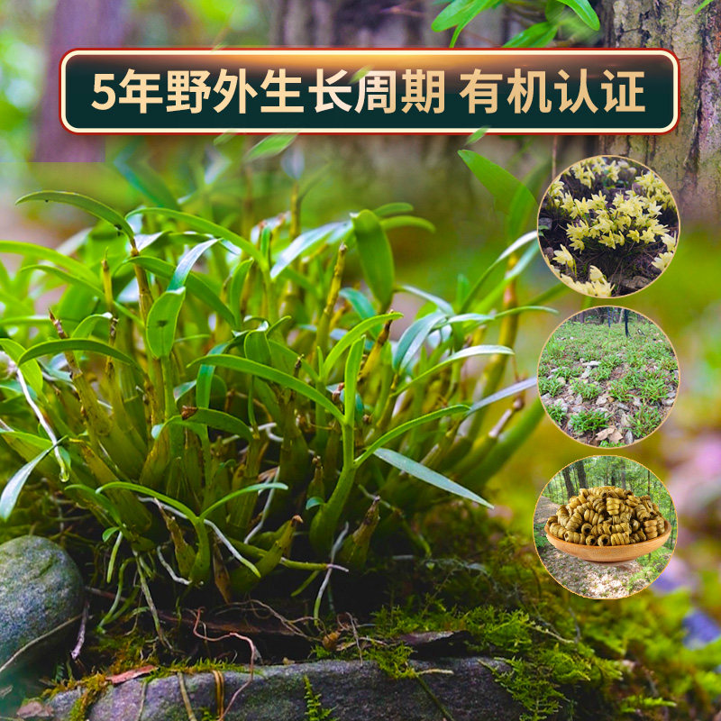 (假1赔10)正宗特级安徽霍山颗粒 仙斛世家石斛/枫斗