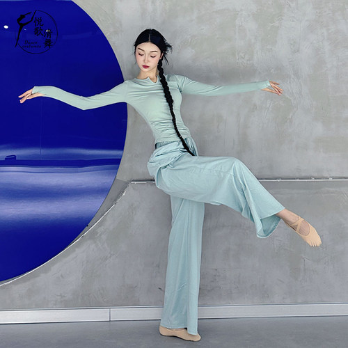 现代舞衣服古典舞上衣考级舞蹈服形体训练服装女中国舞练功服夏季 - 图3