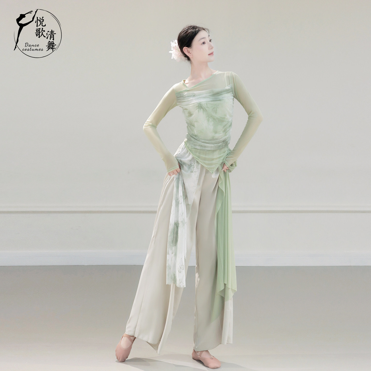 2025新款古典舞服装纱衣演出服漂亮中国舞练功服形体网纱舞蹈上衣,淘宝优惠券,粉丝福利购,淘宝优惠卷