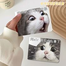 Cute Cat Cat Creative Drivers License Protective Sheath Two-in-one Line Driving License Motor License Benskin High Face Value