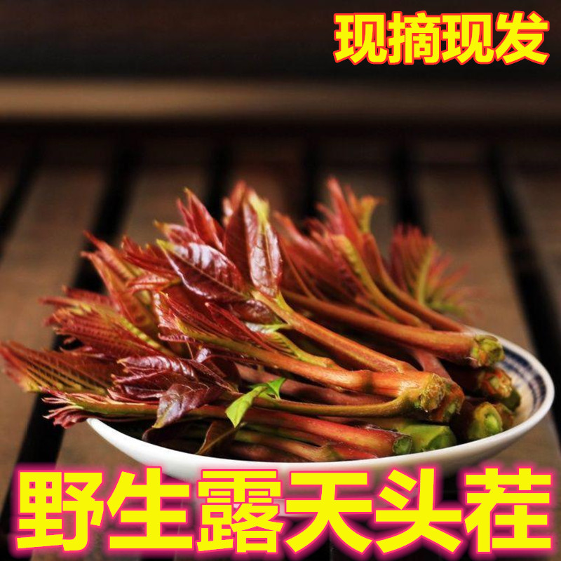 鲜务所 山东头茬新鲜香椿芽 2斤 天猫优惠券折后￥19.9包邮（￥39.9-20）3斤￥29.9