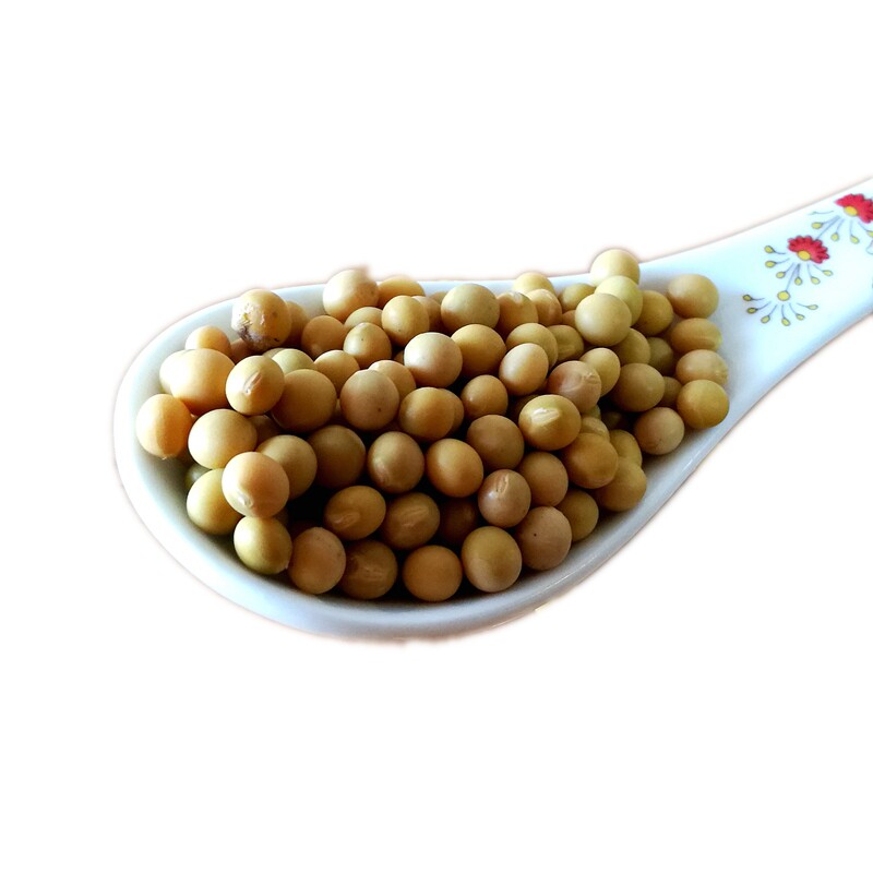 新货发黄豆生黄豆芽 5斤东北小纳豆 风映食品黄豆