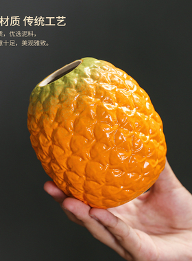 火龙果水培绿植绿萝花瓶石榴花器
