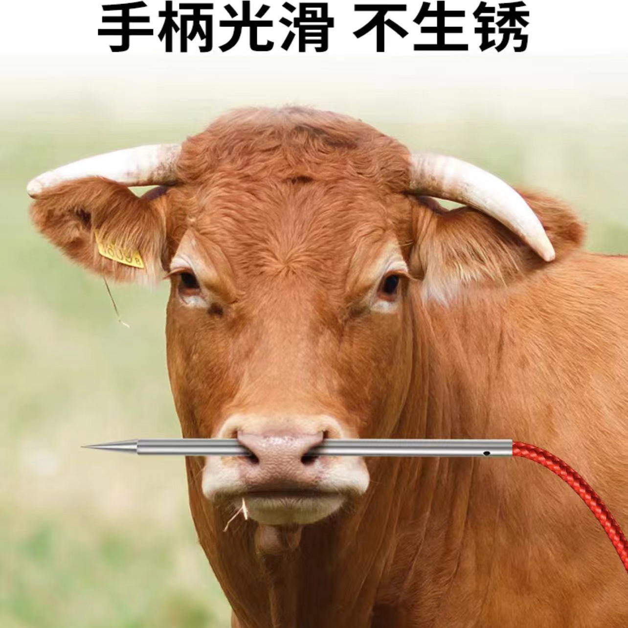 穿牛鼻孔钳子两件套长柄不锈钢牛鼻夹子抓牛牵引扣养牛设备牛鼻针,淘宝优惠券,粉丝福利购,淘宝优惠卷