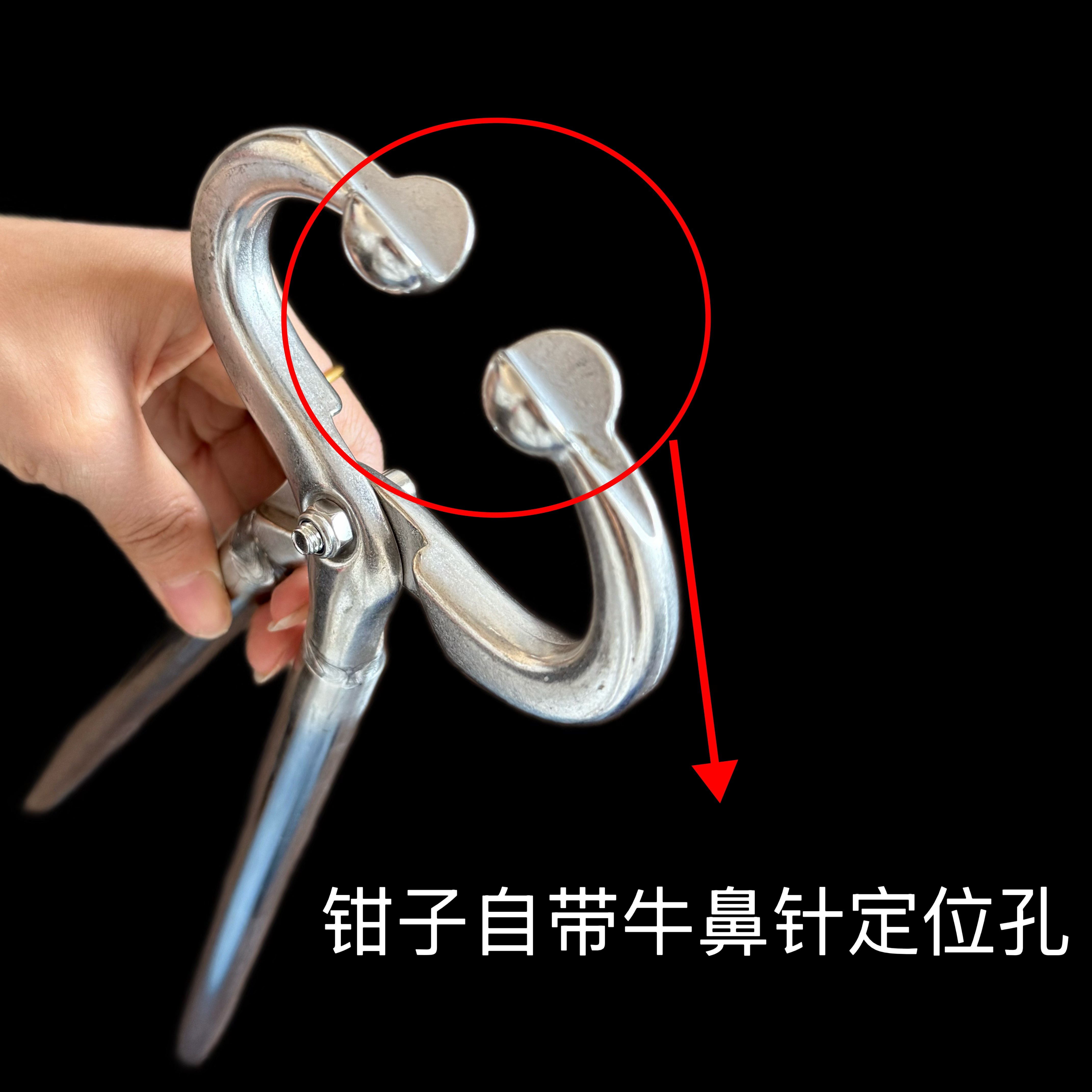 穿牛鼻孔钳子两件套长柄不锈钢牛鼻夹子抓牛牵引扣养牛设备牛鼻针,淘宝优惠券,粉丝福利购,淘宝优惠卷