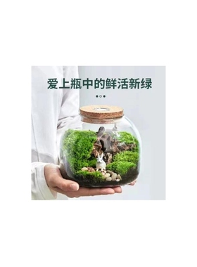 大容量火山造型玻璃缸带灯木塞玻璃容器发光造景瓶大口径生态瓶