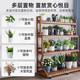 花架阳台置物架实木客厅落地式多层多肉花盆绿植盆栽可移动花架子