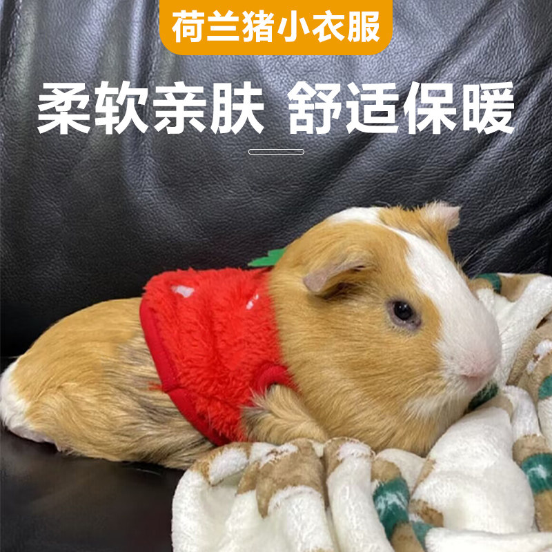 荷兰猪专用小衣服保暖冬天宠物豚鼠龙猫刺猬土拨鼠穿的加绒小衣服,淘宝优惠券,粉丝福利购,淘宝优惠卷