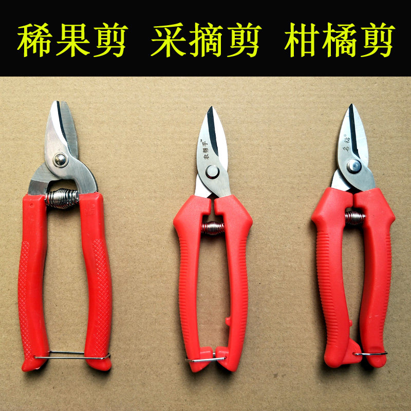 橘剪刀 剪钳 修果修枝桔子剪采摘剪 名钻农帮手不锈钢采果剪包邮,淘宝优惠券,粉丝福利购,淘宝优惠卷