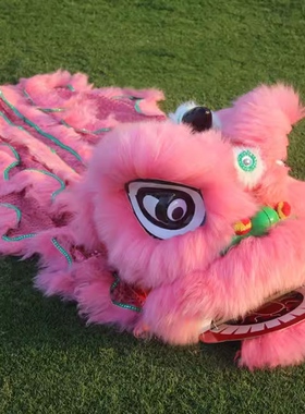 舞狮道具儿童羊毛红色玫红色幼儿园狮子头成人单人耐摔头套表演用