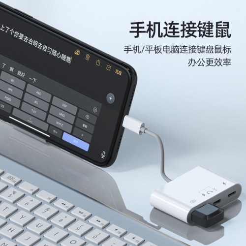 移动固态硬盘连接线lightning插头typec机械ipad外接u盘转接头适用苹果iphone17/16/15/14/1312手机otg转换器 - 图3