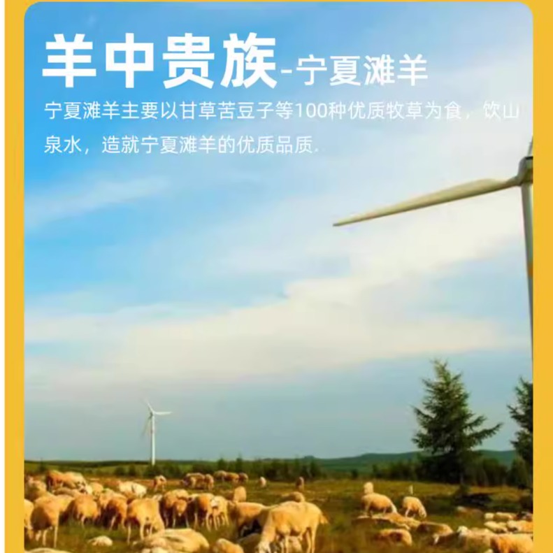 羊肉新鲜宁夏滩羊肉现杀滩羊盐羊排半只羊半羊非池新疆整只礼盒