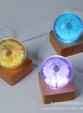 蒲公英水晶球夜灯环氧滴胶手工树脂工艺品干花标本摆件创意礼物潮