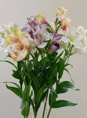 彩色压纹3D百合花六出花