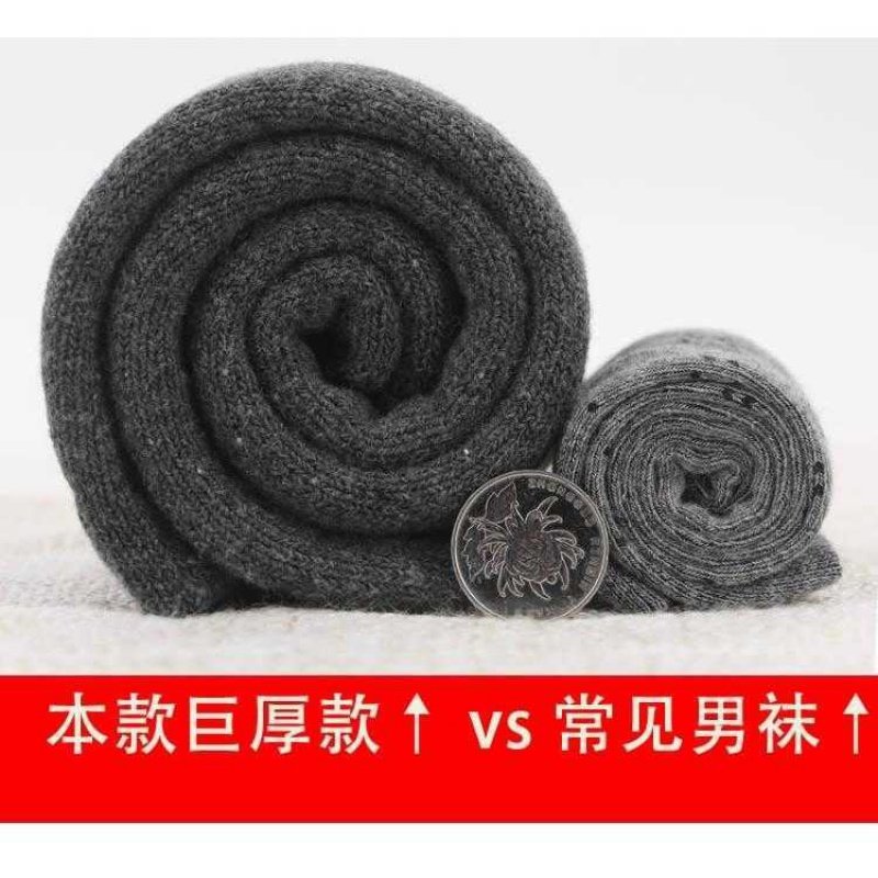 舒适休闲男士冬天加绒保暖毛圈袜 希贝莎短袜/打底袜/丝袜/美腿袜
