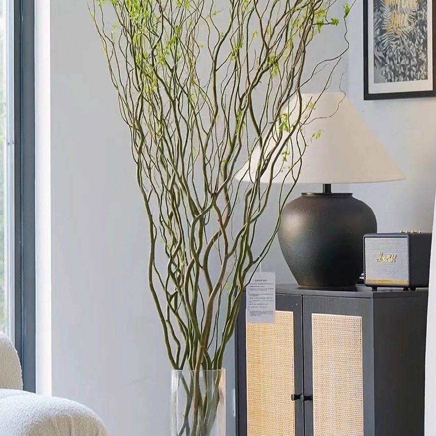 室内水培绿植龙柳鲜枝观叶净化空气好养活客厅四季可养一盆可养,淘宝优惠券,粉丝福利购,淘宝优惠卷