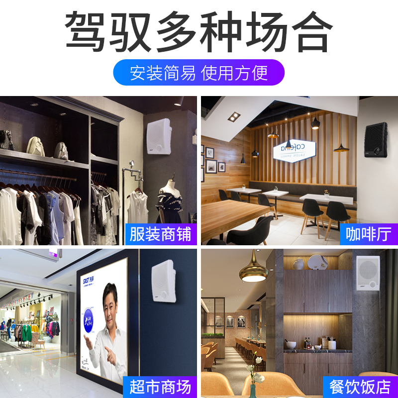 先科A6壁挂音响音箱店铺专用挂墙式蓝牙商用超市餐厅公共广播系统 - 图2