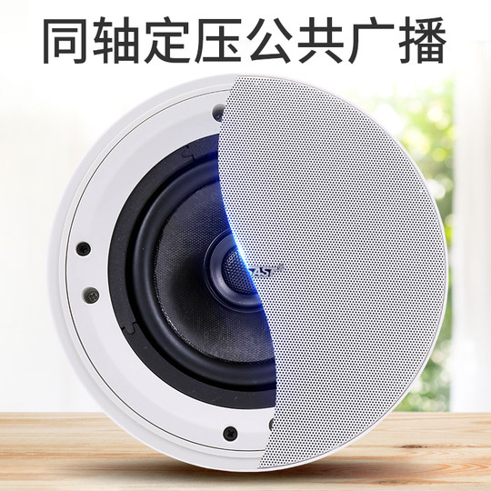 Hanging ball waterproof ceiling speaker embedded in ceiling speaker