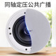 Hanging ball waterproof ceiling speaker embedded in ceiling speaker
