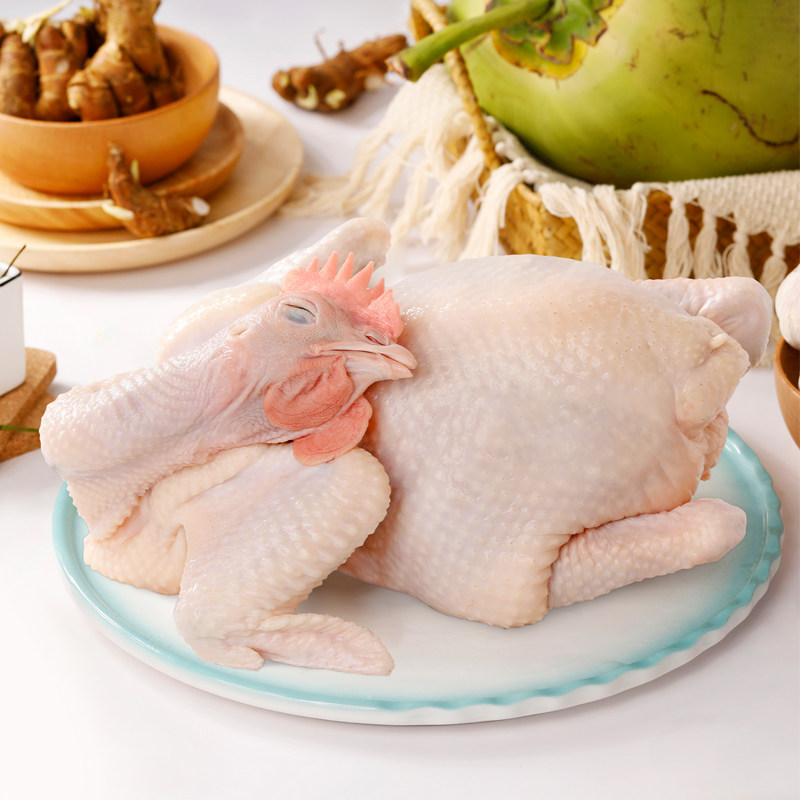 海南文昌鸡140天母鸡2斤散养走地鸡柴鸡跑步鸡椰子鸡白切鸡整鸡,淘宝优惠券,粉丝福利购,淘宝优惠卷