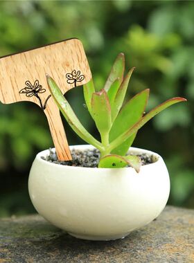 50Pcs T-Type Plant Labels Eco-Friendly Wooden Plants Sign Ta